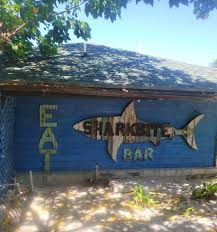 Sharkbite Bar & Grill thumbnail 6