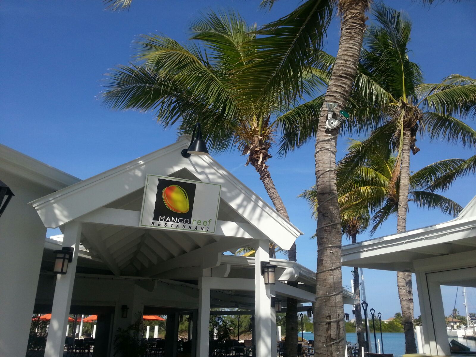 Mango Reef - Image 1