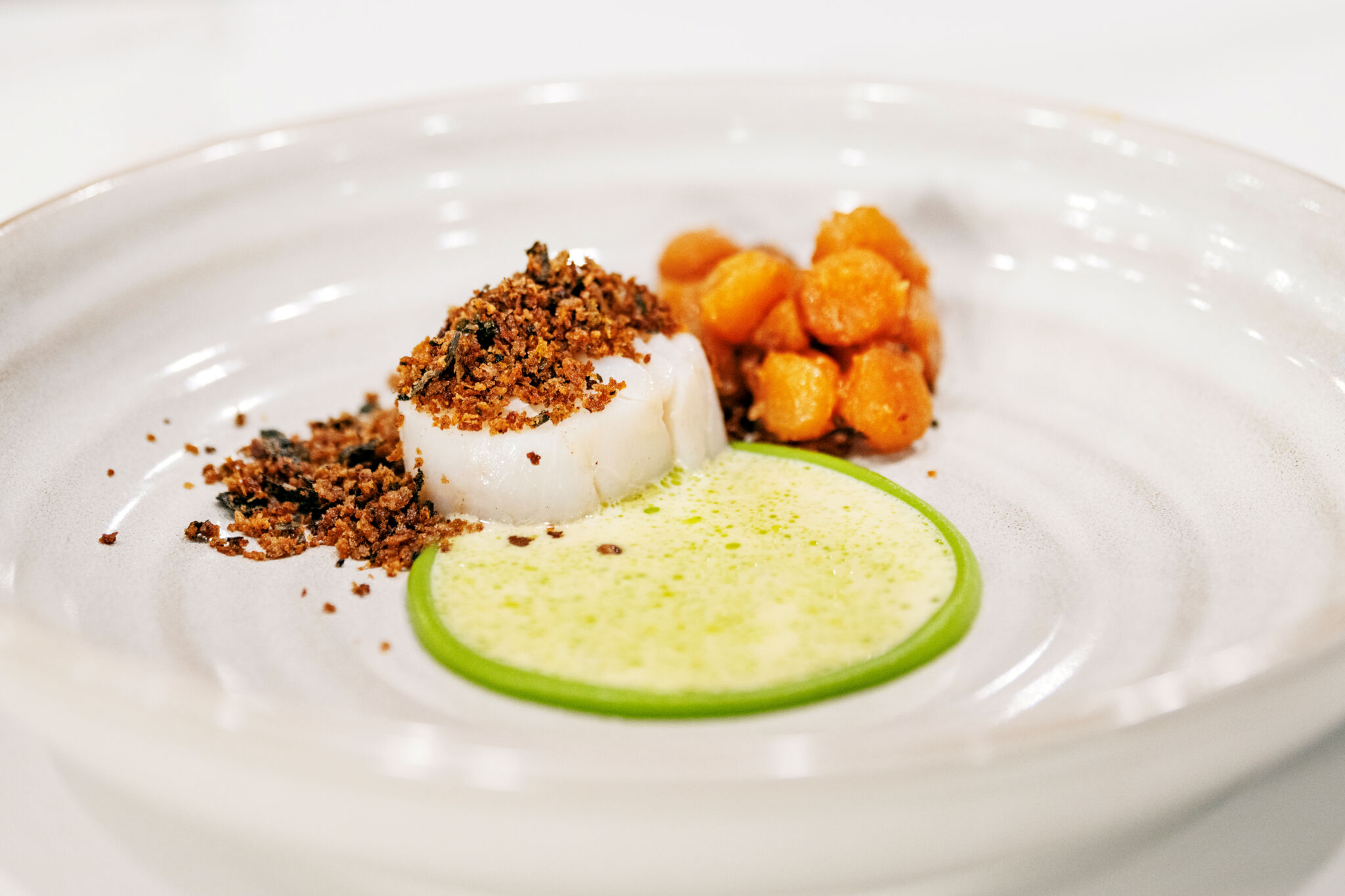 Terra Mar thumbnail 5