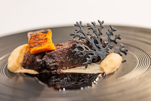 Terra Mar thumbnail 9